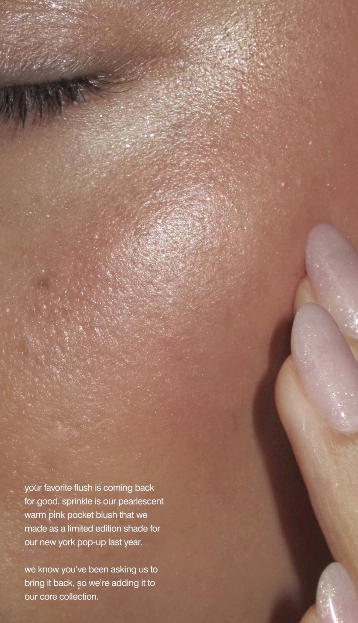 Sprinkle pocket blush