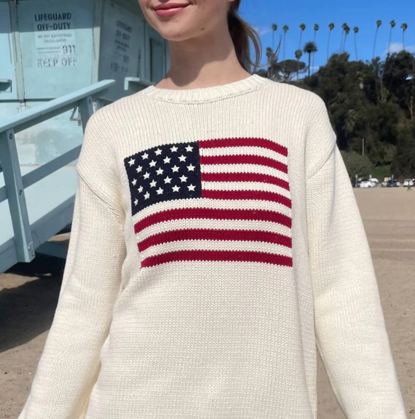NICO AMERICAN FLAG SWEATER