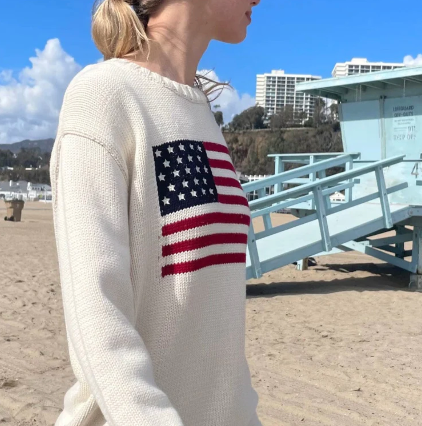 NICO AMERICAN FLAG SWEATER