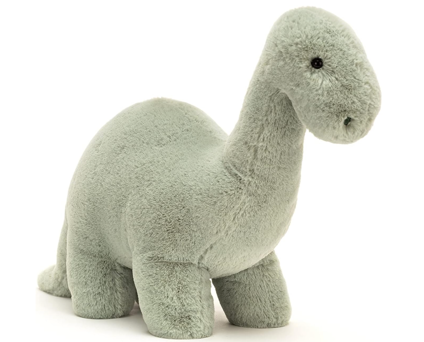 ossilly Brontosaurus Dinosaur