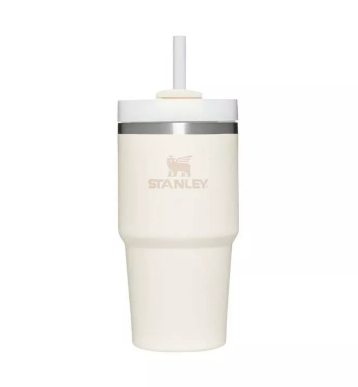 Stanley 20oz Stainless Steel H2.0 FlowState Quencher Tumbler