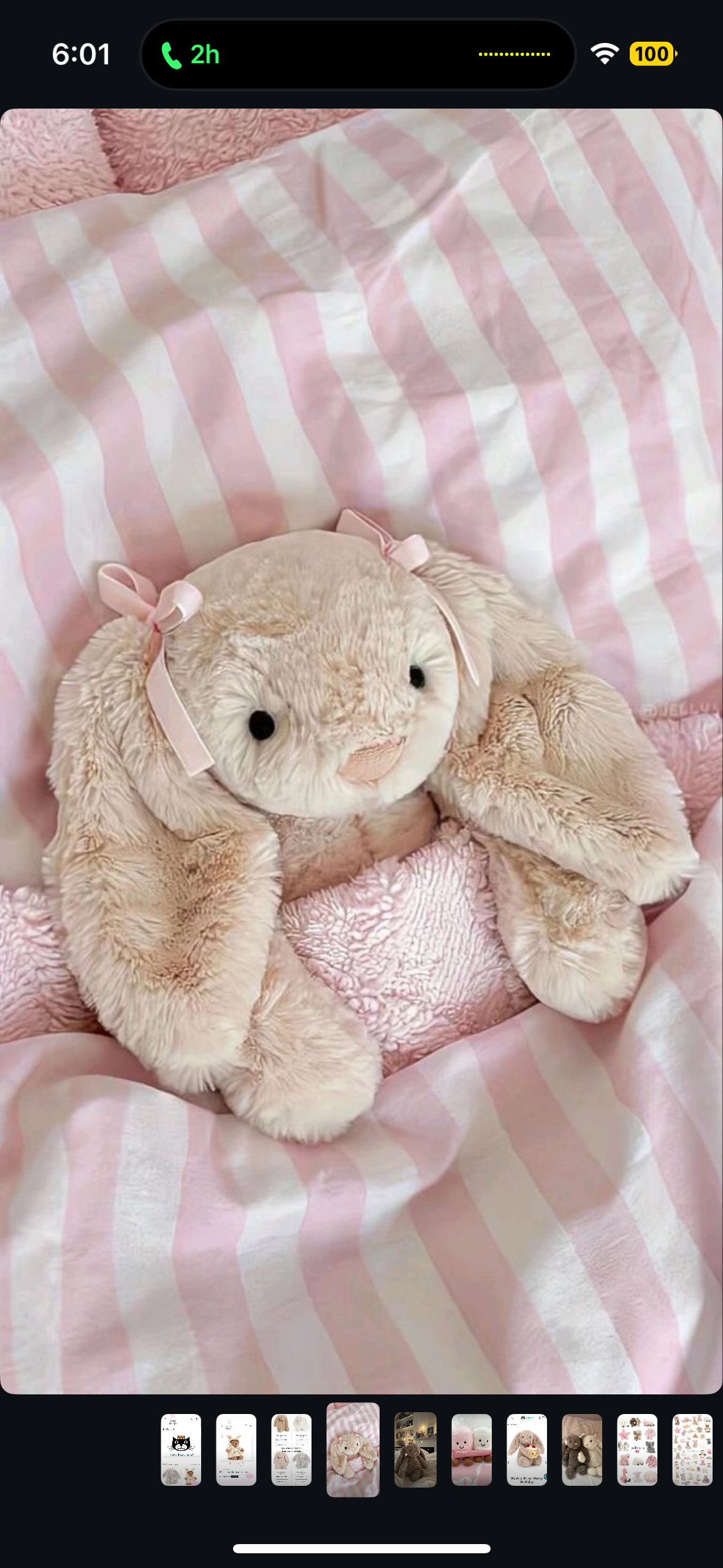 Jellycat