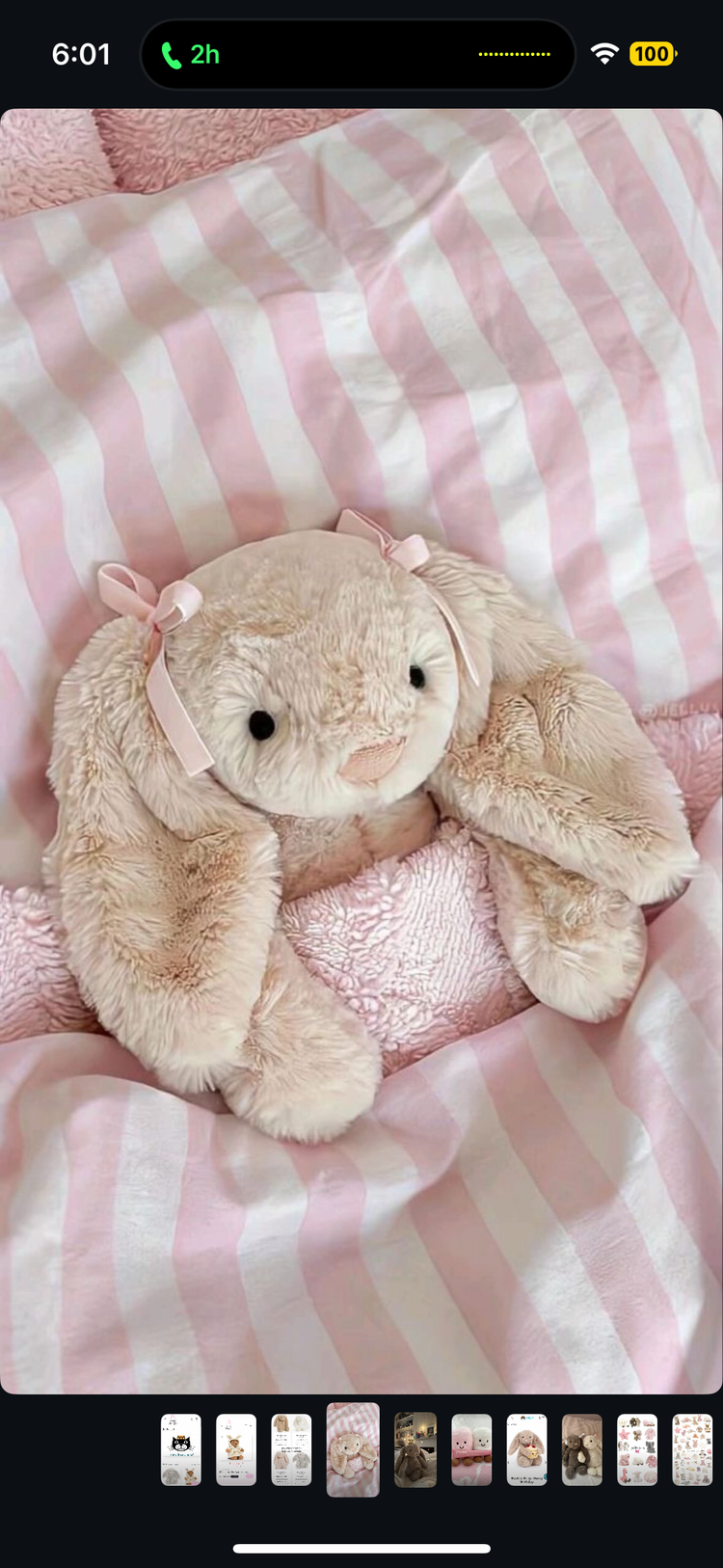 Jellycat